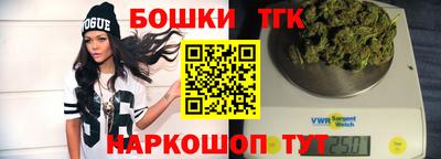 индика Можайск
