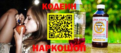 индика Можайск