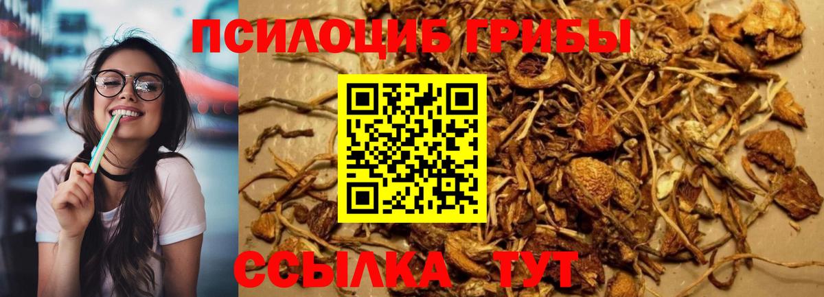 Псилоцибиновые грибы Cubensis Ханты-Мансийск